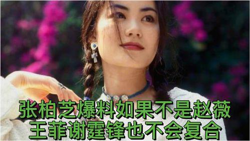 张柏芝赵薇爆料视频播放,娱乐圈真相大揭秘